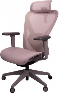 Healthy Chair Q1 Mesh