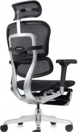 Ergohuman Elite 2 Legrest